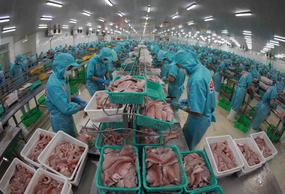 Vietnam exports frozen seafood, coffee, textiles and garments to Morocco. In photo: Pangasius fillet processing for export at Sao Mai Group's factory (An Giang province). (Photo: VNA)