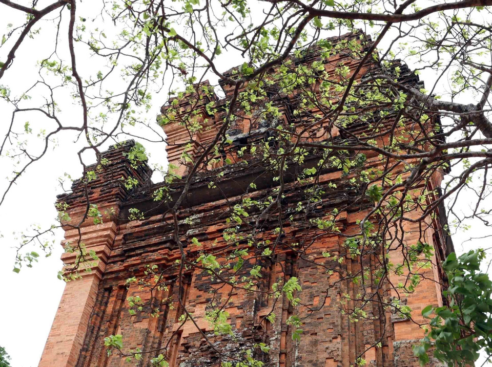 Perched atop Mount Nhan, the ancient tower is a "cultural coordinate" and an inseparable emblem of the Phu Yen region. (Photo: VNA)