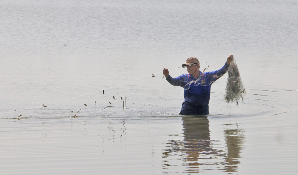 Visitors and locals wade through flooded fields to cast nets and catch fish during the floating season in My Thoi ward. (Photo: VNA)