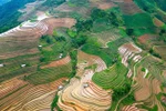Mu Cang Chai terraced rice fields in the water-pouring season