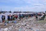 Bustling scene at Ninh Binh’s largest fish market