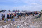 Bustling scene at Ninh Binh’s largest fish market