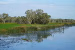 Reviving the wetlands of Tram Chim National Park