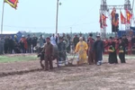 Exciting ploughing festival 2025 in Ha Nam