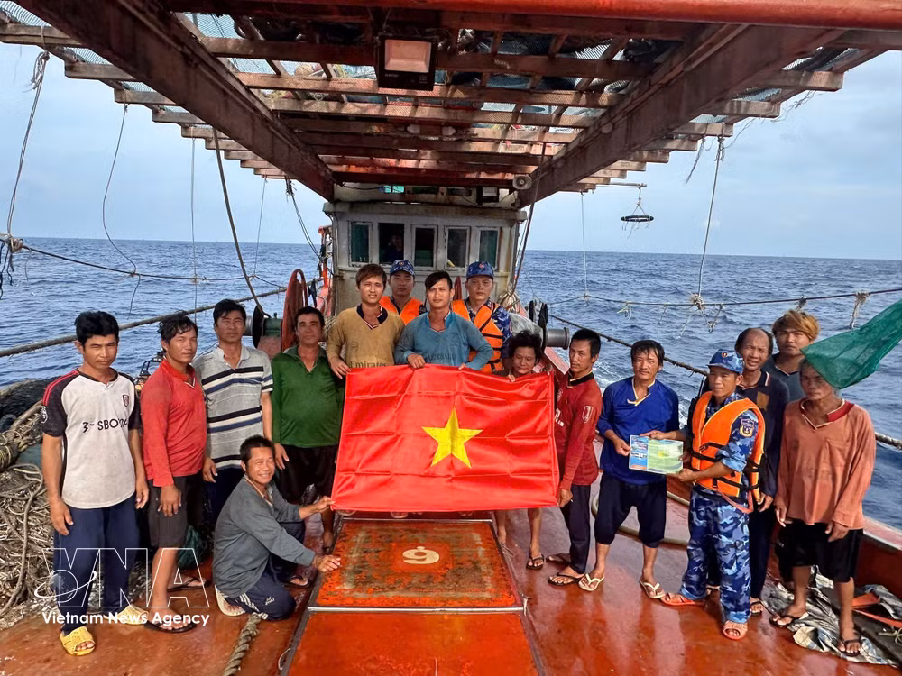 vnanet-potal-tp-ho-chi-minh-don-luc-go-e2809cthe-vange2809d-iuu-8628967.jpg
