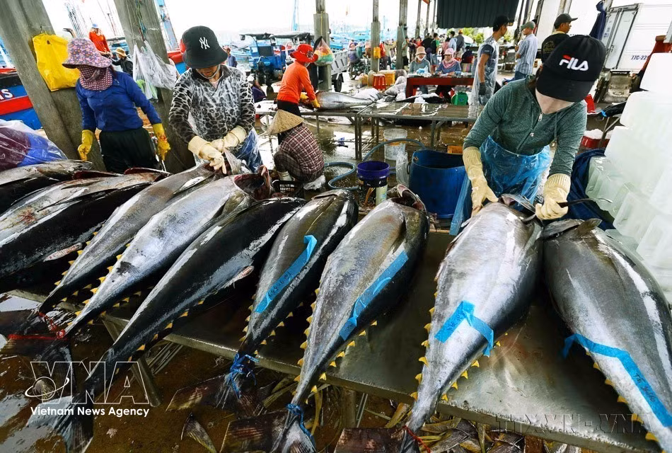 vnanet-potal-phat-trien-kinh-te-thi-truong-dinh-huong-xhcn-hien-dai-va-hoi-nhap-quoc-te-nen-tang-vung-chac-cho-ky-nguyen-phat-trien-cua-dan-toc-viet-na-8538942.jpg