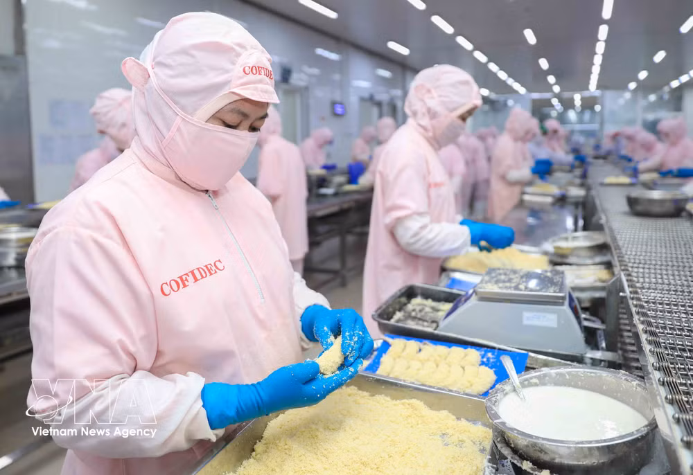 A shrimp processing line at the Coastal Fisheries Development Corporation (Cofidec) (Photo: VNA)