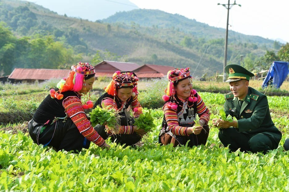 Officers from A Pa Chai Border Guard Station (Dien Bien province) assist local residents in developing the economy, eradicating hunger, reducing poverty, contributing to the construction of new style rural areas, and strengthening the solidarity and bond between the military and the people. (Photo: VNA)