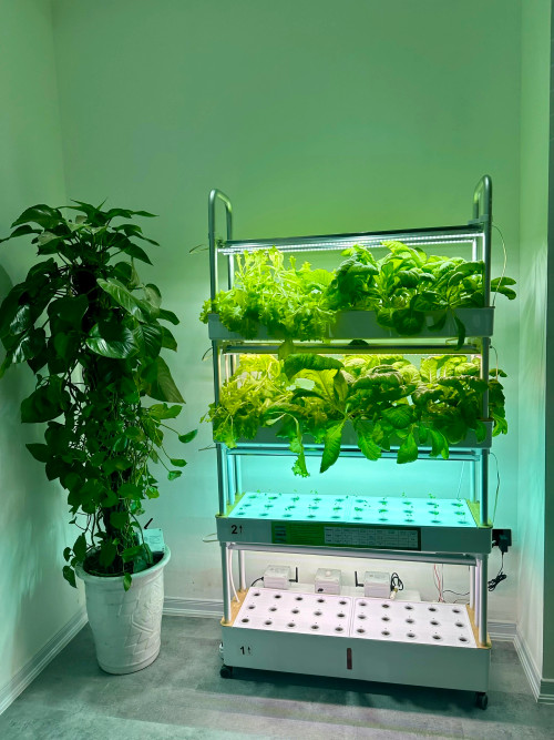smart home.jpg
