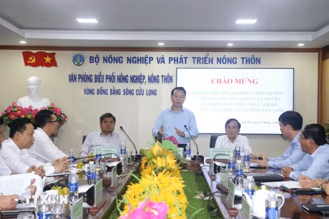 bo-truong-do-duc-duy-noi-ve-lua-gao.jpg