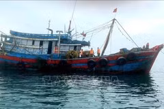 Can Tho launches the peak campaign against IUU fishing. (Photo: VNA)