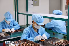 Vietnam-Singapore’s complementary strengths in semiconductor industry