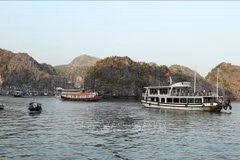 Cruises in Cat Ba Archipelago, a UNESCO World Natural Heritage Site (Photo: VNA)