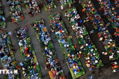 Can Tho’s countryside market captures charm of southern Vietnam
