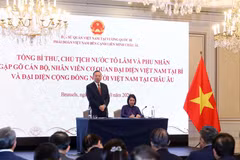 Top leader meets Vietnamese community in Europe