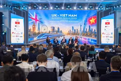 Vietnam seeks quality investment from UK businesses