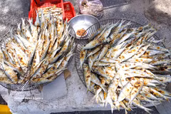 Grilled herring trade along Quang Tri coast