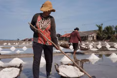 Cambodian workers collect salt from the fields ready to store it in warehouses in Kampot province. (Photo: Phnom Penh Post)