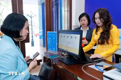 A citizen uses online public services in Hanoi. (Photo: VNA)