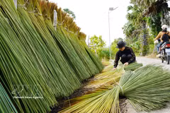 Mekong Delta residents transform bulrush grass into handicrafts
