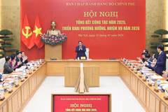 PM outlines five specific strategies for Government’s Party Committee
