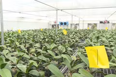 Thanh Hoa farmers embrace digital transformation