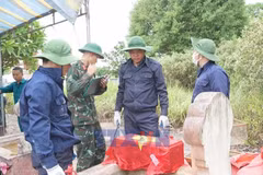 Ha Tinh steps up efforts to identify fallen soldiers through DNA testing