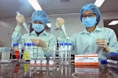 Organisations and individuals engaging in public-private partnerships for scientific research, technological development, innovation, and digital transformation are eligible for various forms of State incentives and support. (Illustrative photo: VNA)
