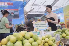Tay Ninh seeks solutions to unlock sustainable agricultural development