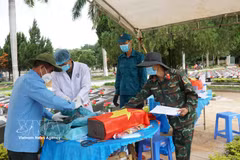 Gia Lai steps up efforts to identify fallen soldiers