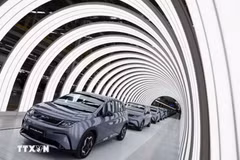 Electric vehicles inside BYD's factory in Rayong, Thailand. (Photo: Reuters/VNA)