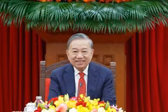 Vietnamese, Cuban Party leaders reaffirm special friendship in phone talks
