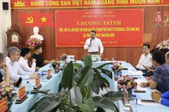At the working session (Photo: VNA)