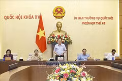 National Assembly Chairman Tran Thanh Man delivers the closing remarks at the 48th session of the NA Standing Committee. (Photo: VNA)