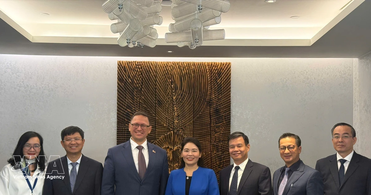 Vietnam State Audit Office promotes international cooperation