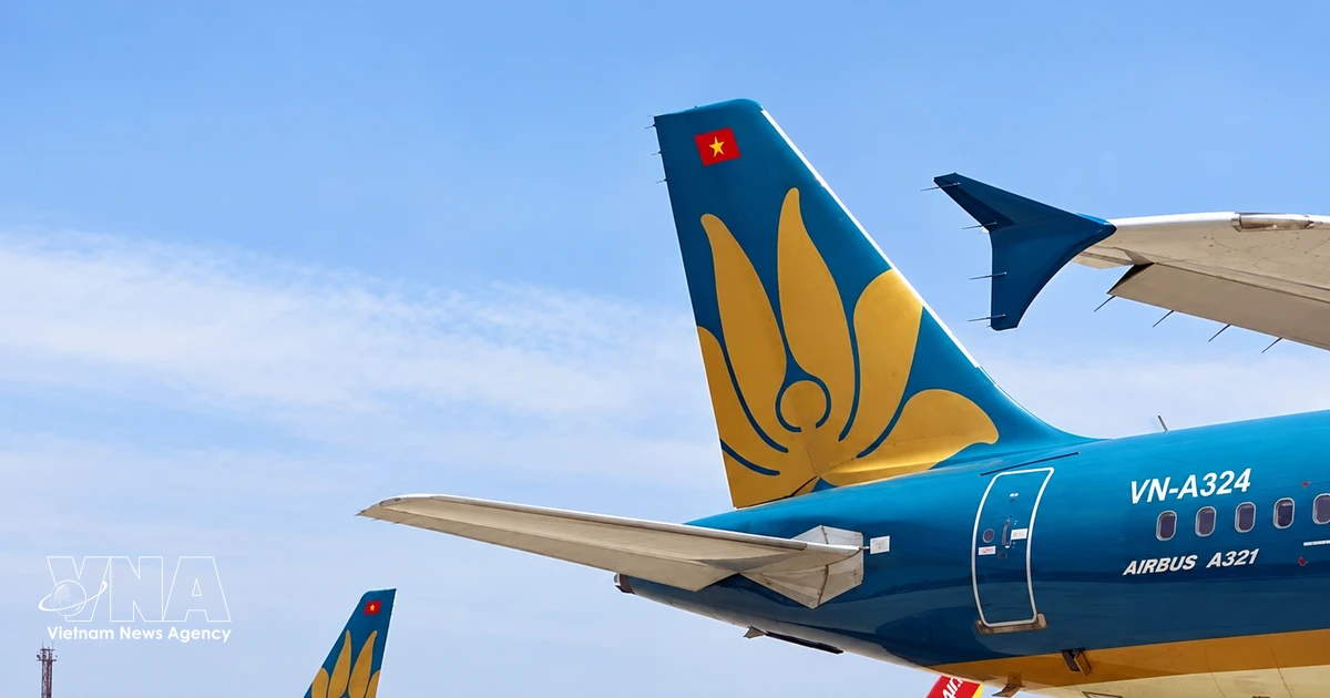 Vietnamese aircraft fleet climbs to 261