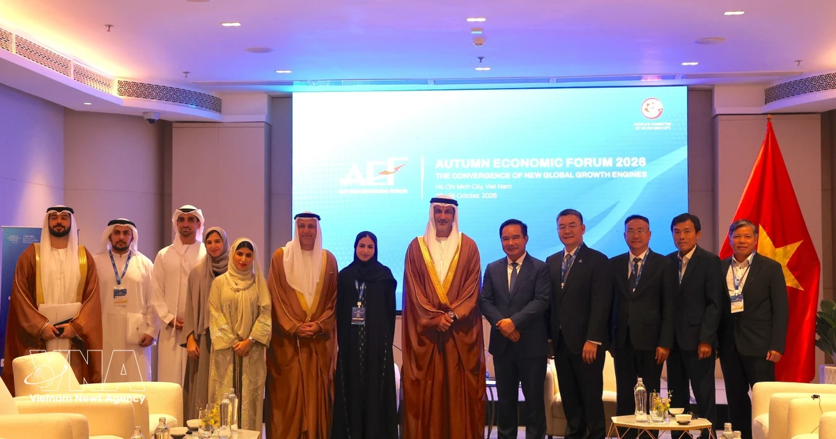 Ho Chi Minh City seeks to expand energy cooperation with UAE