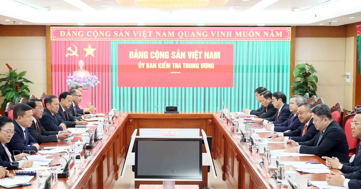 Inspection-supervision cooperation helps nurture Vietnam-Laos ties