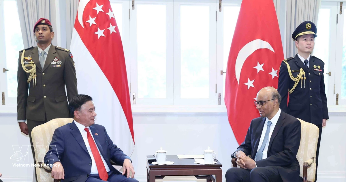 Key Vietnamese leader meets Singaporean President