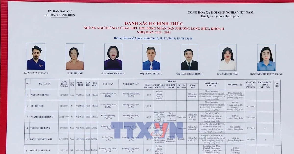 Final Line Process Vietnam 2026 Election Enters Final Campaign Stage