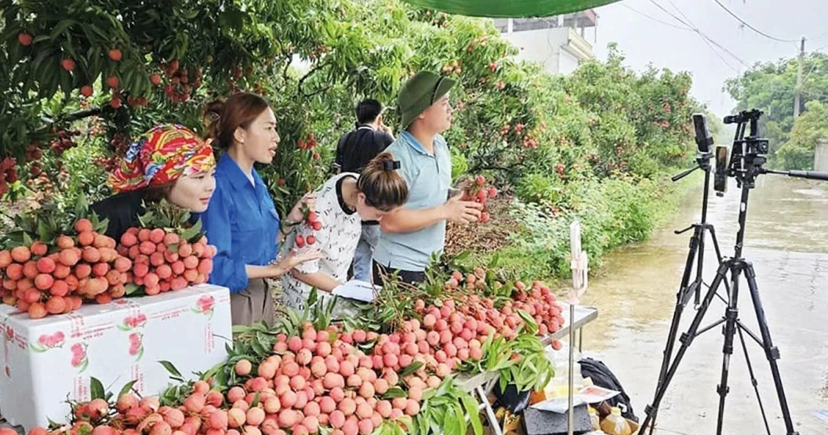 Farm produce goes online, opening wider market access