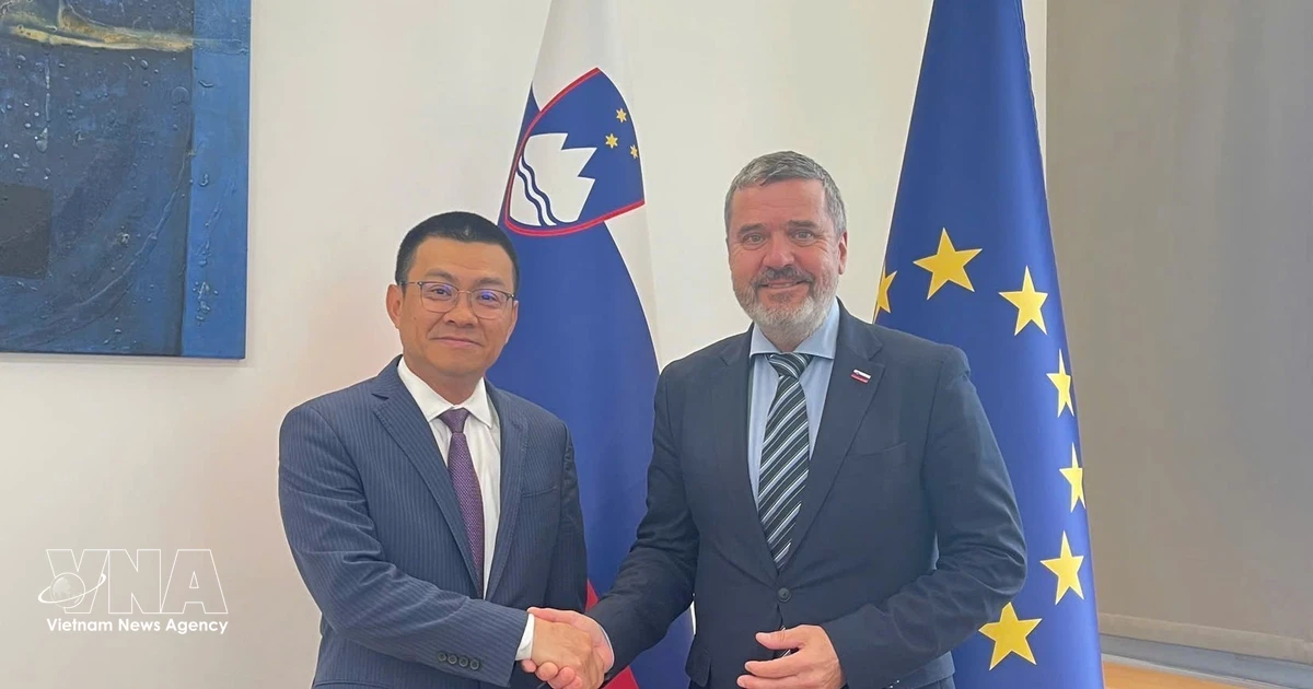 Vietnam, Slovenia hold considerable potential to elevate bilateral ties: ambassador