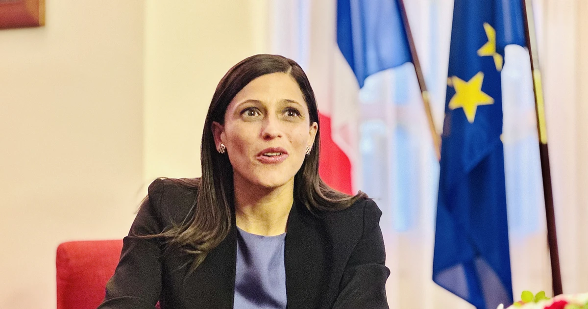 Vietnam, France move to turn high-level commitments into practical cooperation