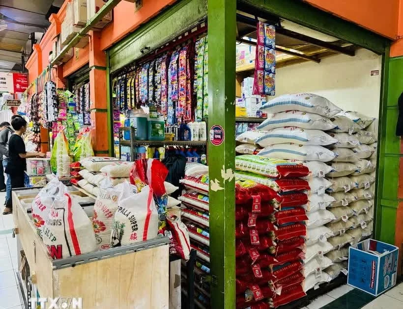Indonesia, Timor-Leste uphold new economic potential