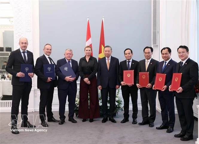 Vietnam, Denmark issue joint statement on establishment of Comprehensive Strategic Partnership