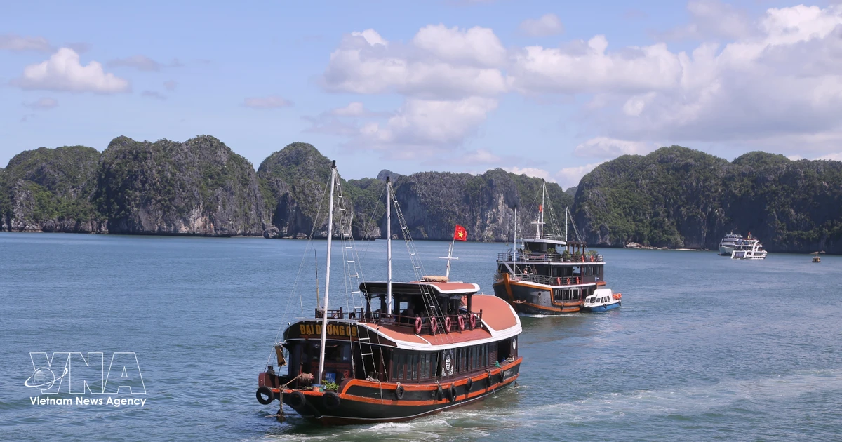 Maritime culture guides northern port city of Hai Phong’s global reach