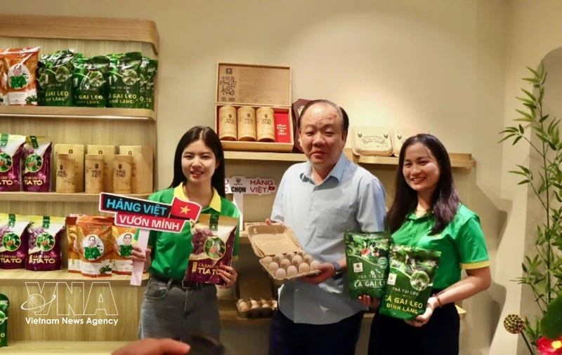 Digitalisation boosts Vietnamese goods