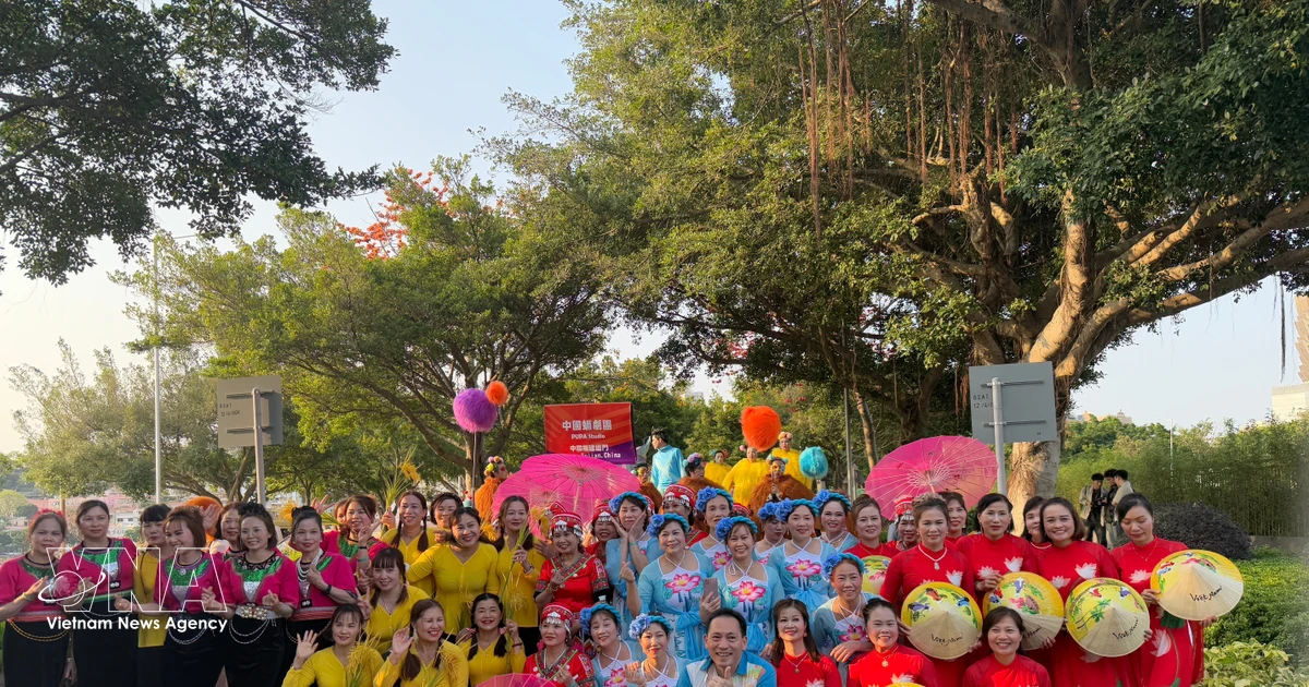 Vietnamese community in Macao strengthens solidarity, contributes to homeland