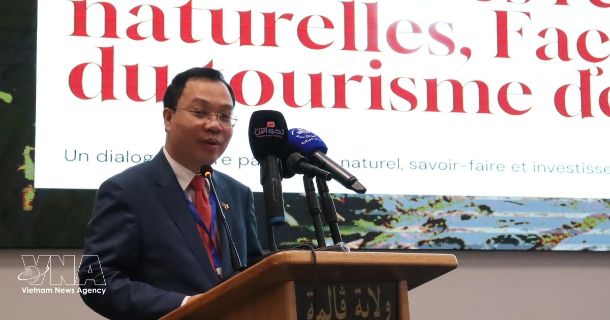 Vietnam promotes hot spring tourism at Algerian forum