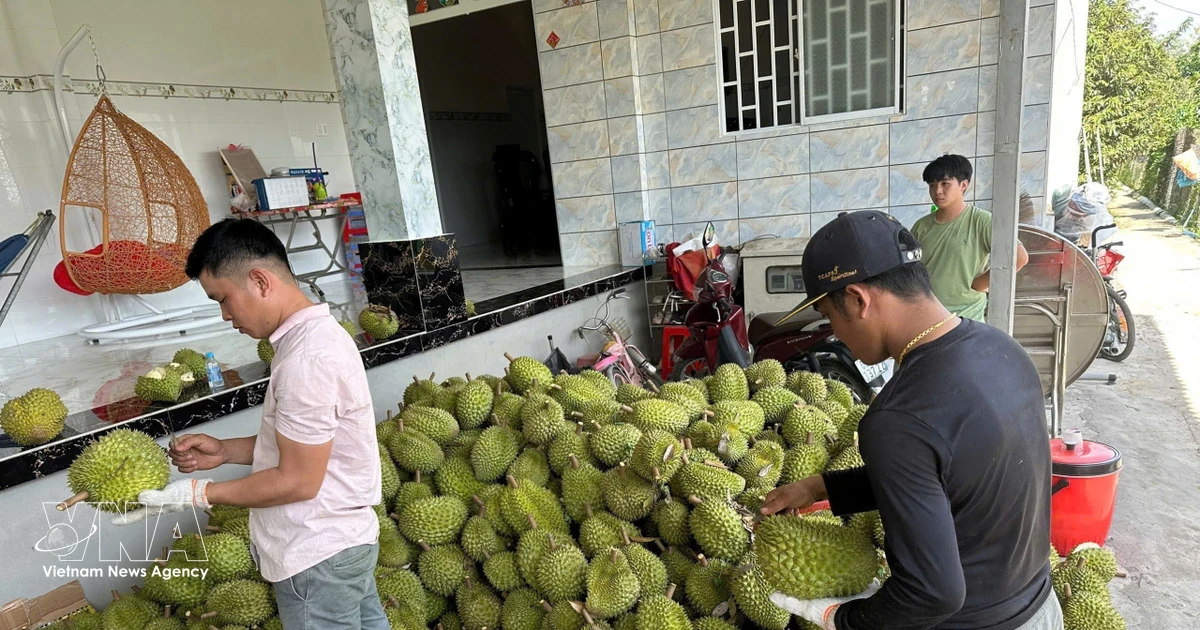 Vietnam, India seek to expand agricultural trade